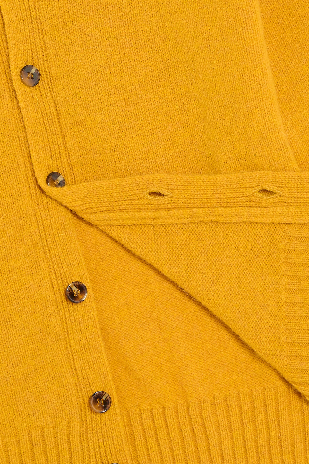 Cardigan Shetland