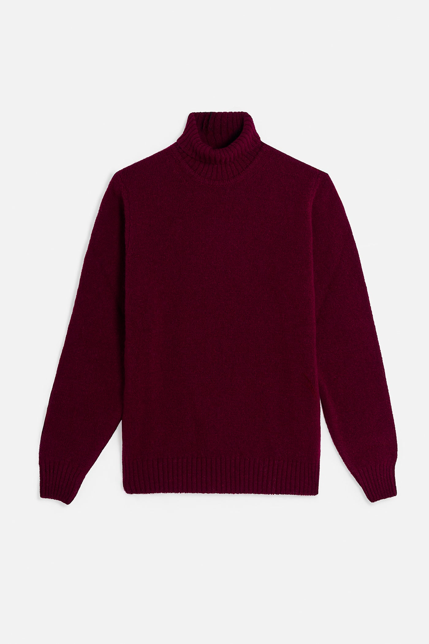 Collo Alto Shetland