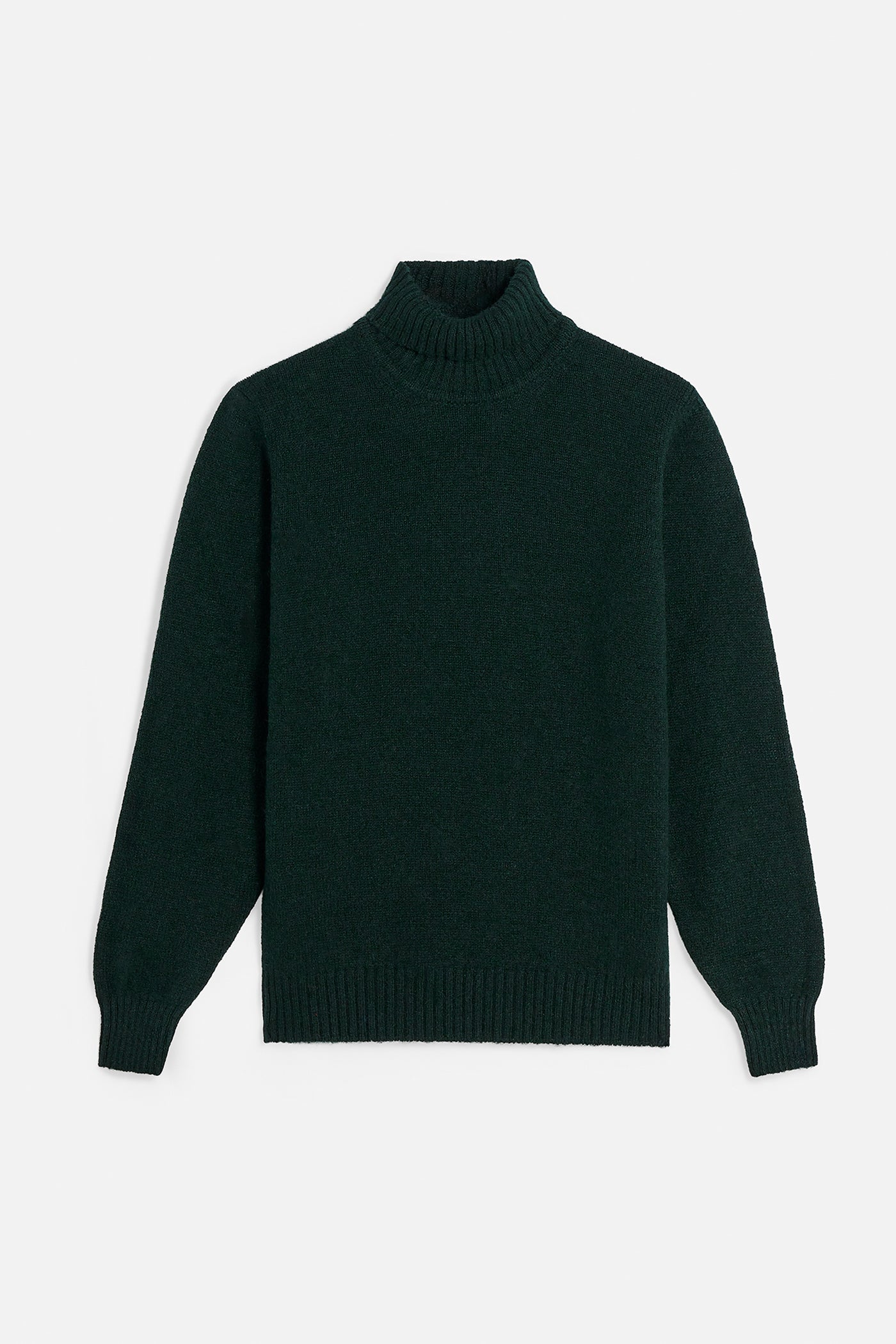 Collo Alto Shetland