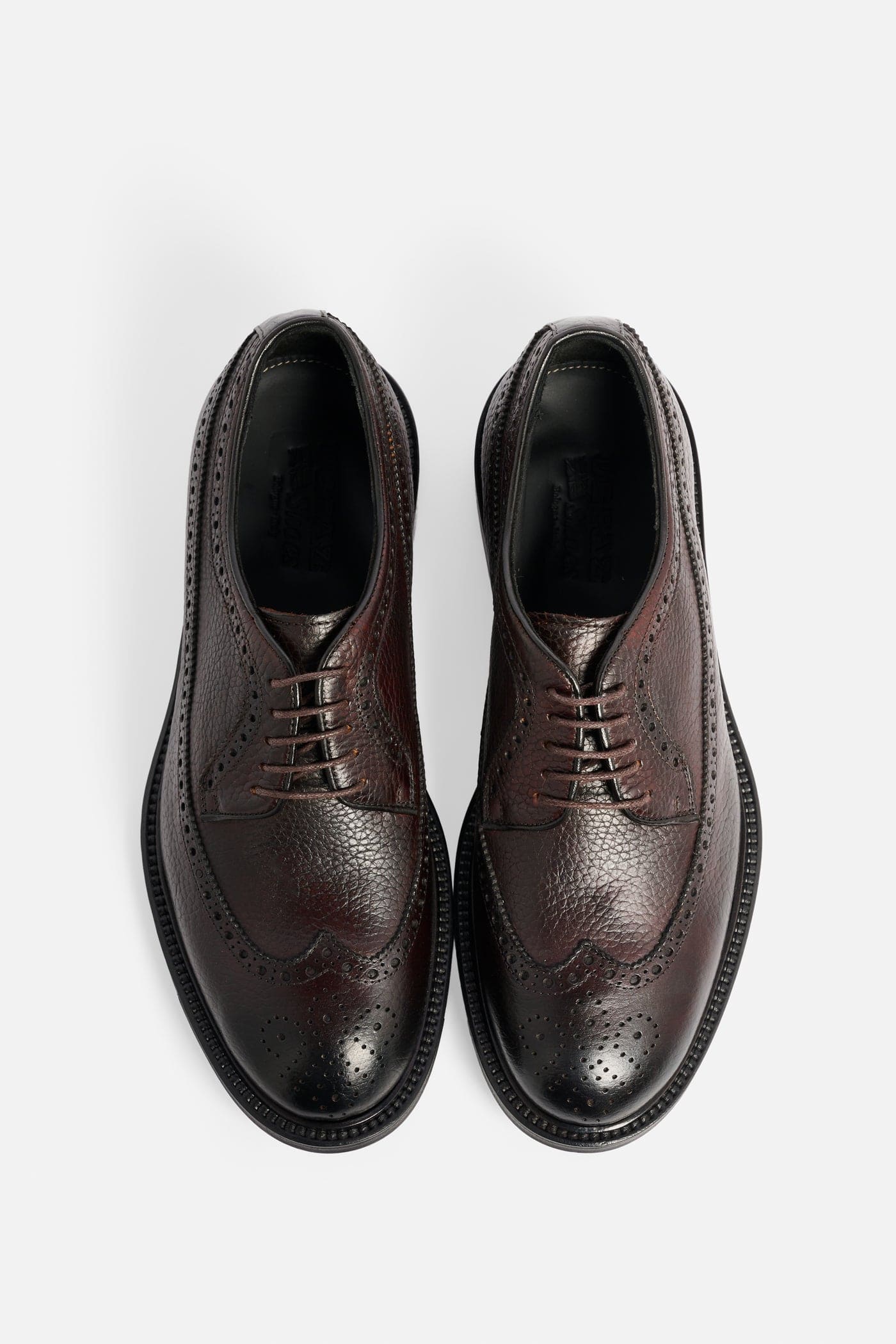 Derby Brogue