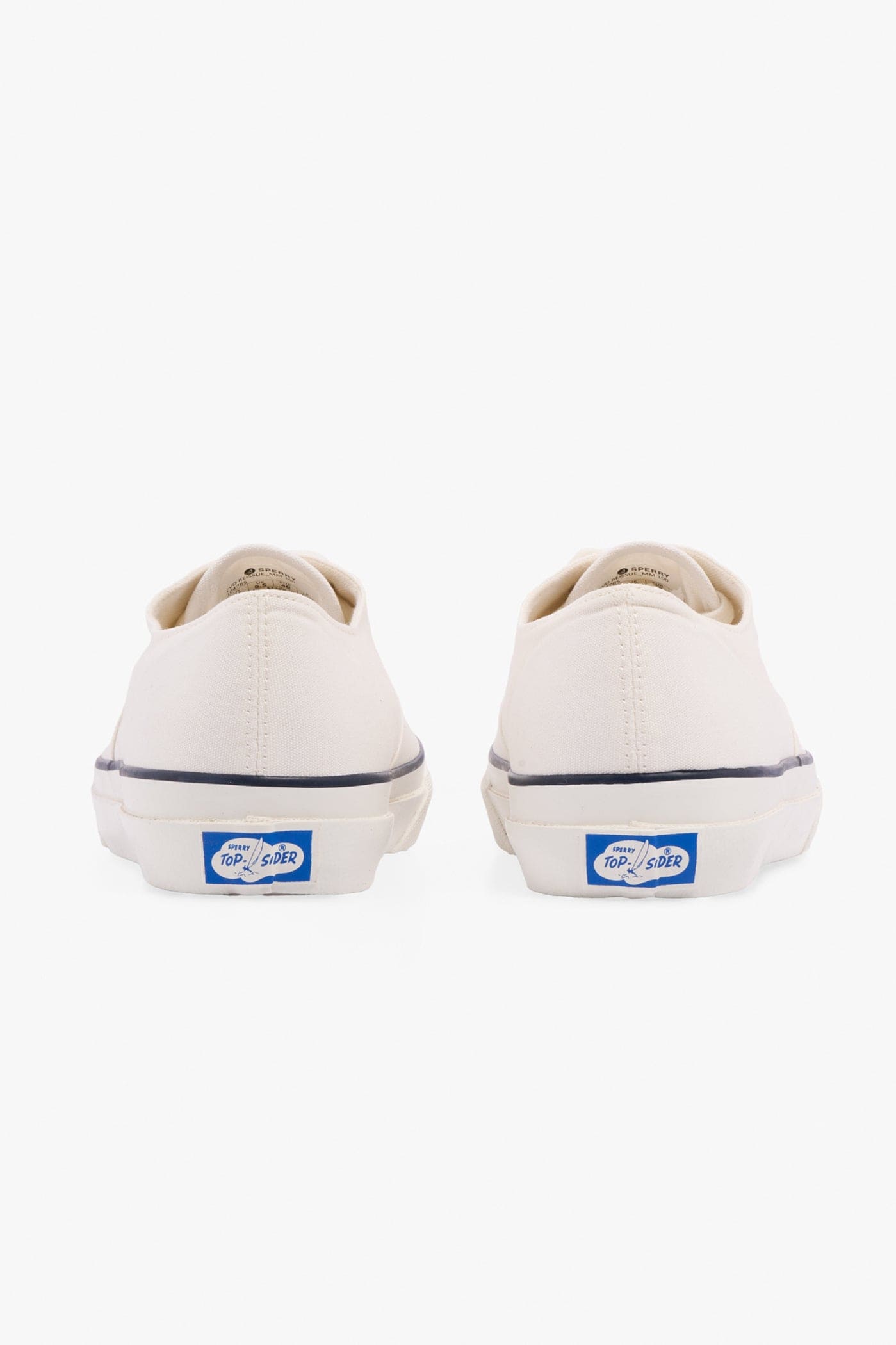 Sperry Sneaker