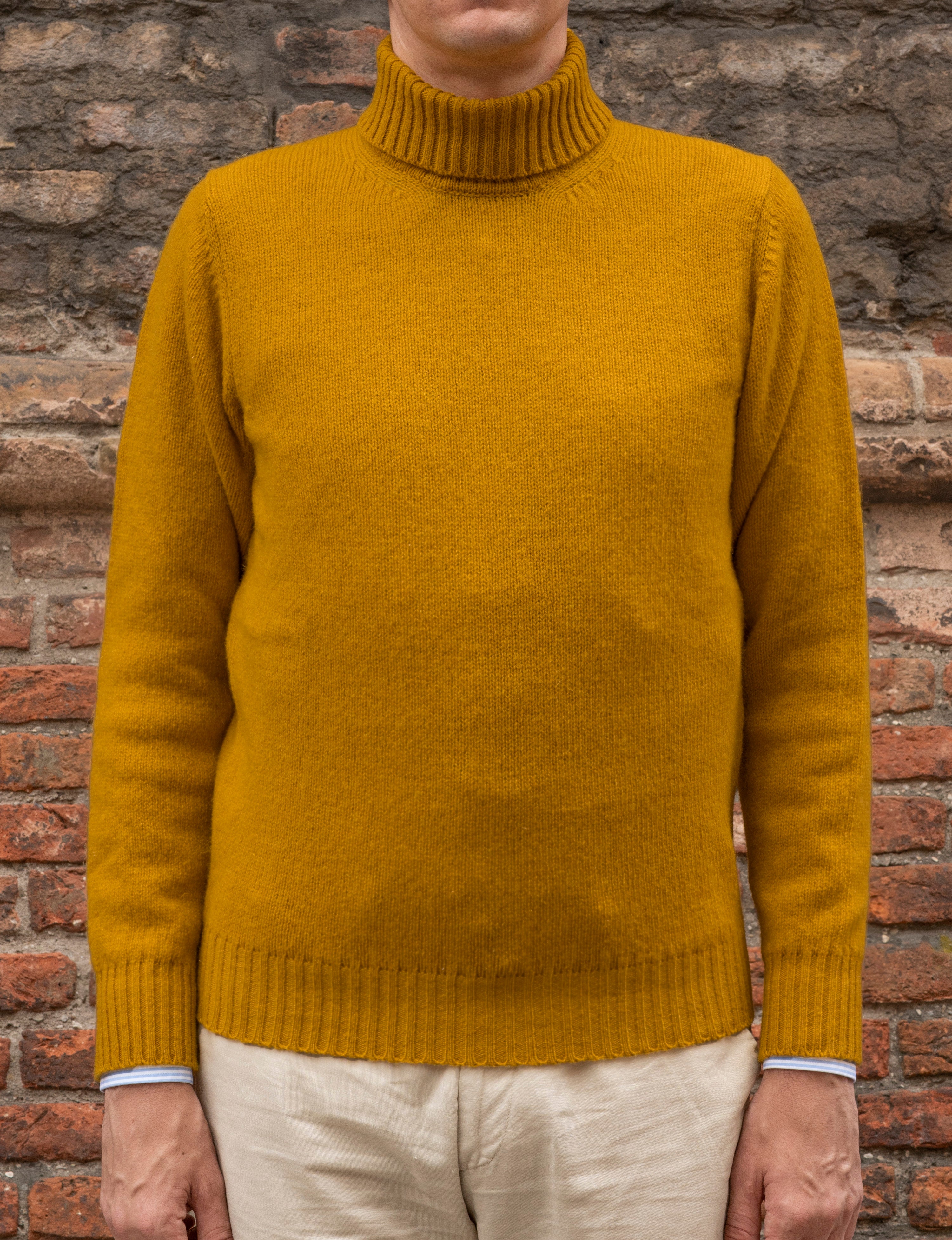 Shetland collo alto
