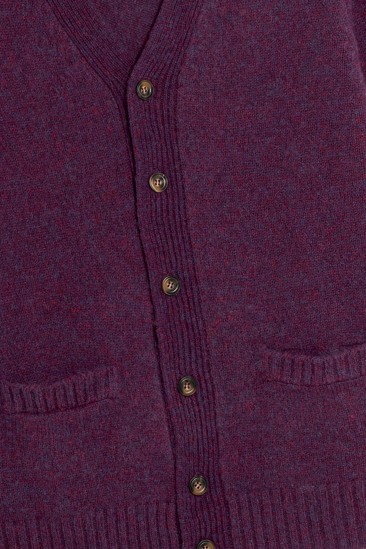 Cardigan Shetland - Prugna