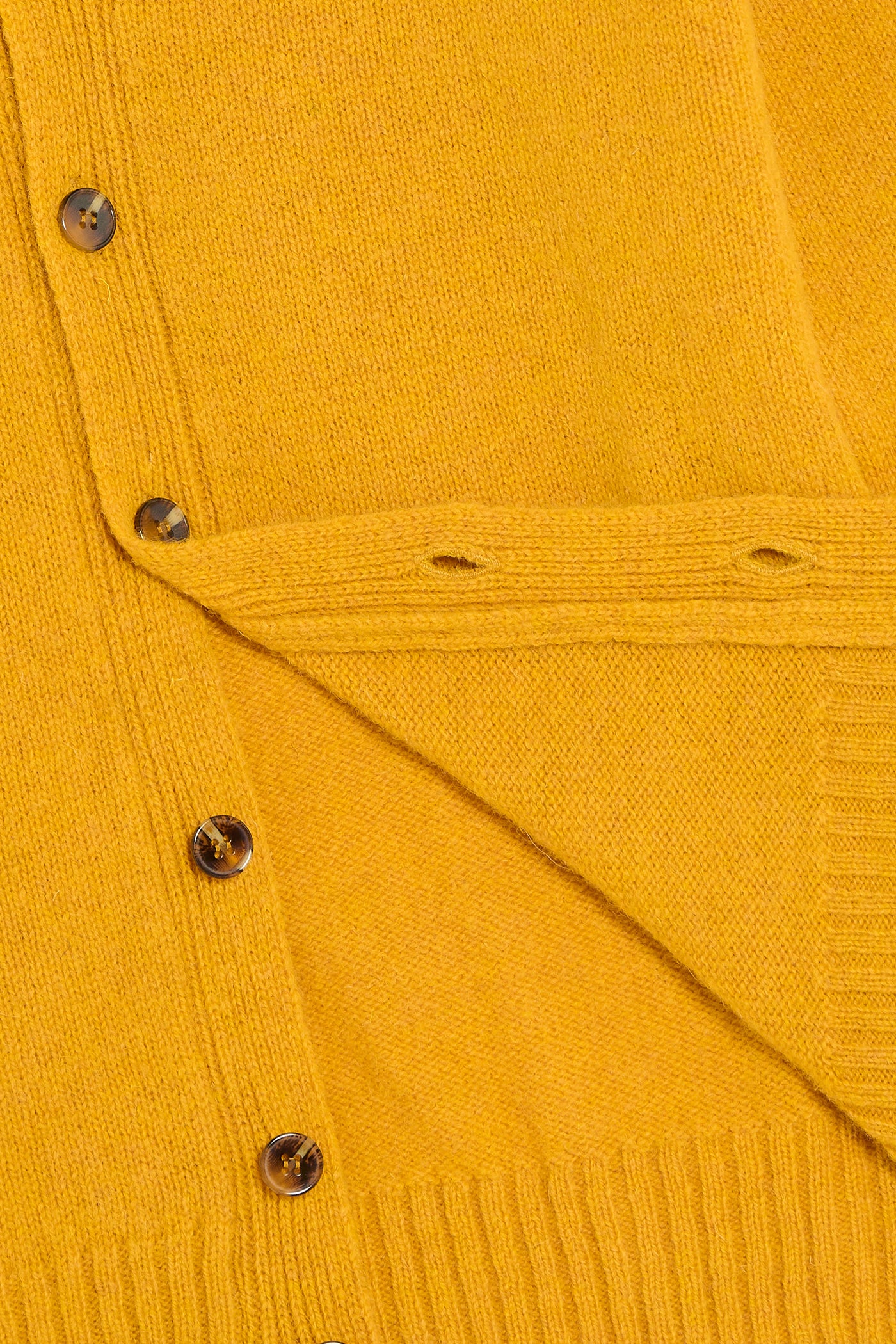 Cardigan Shetland