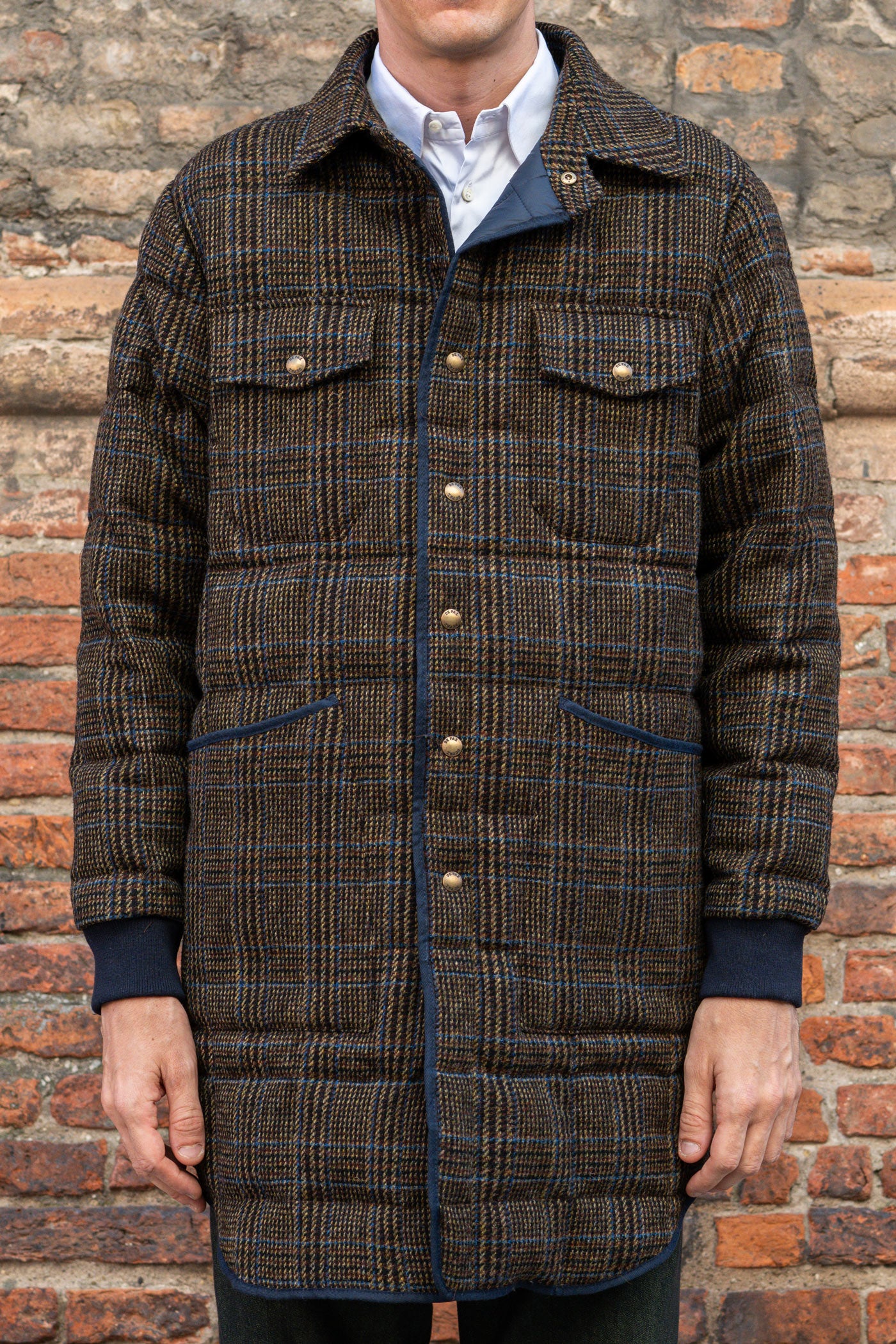 Leon lungo