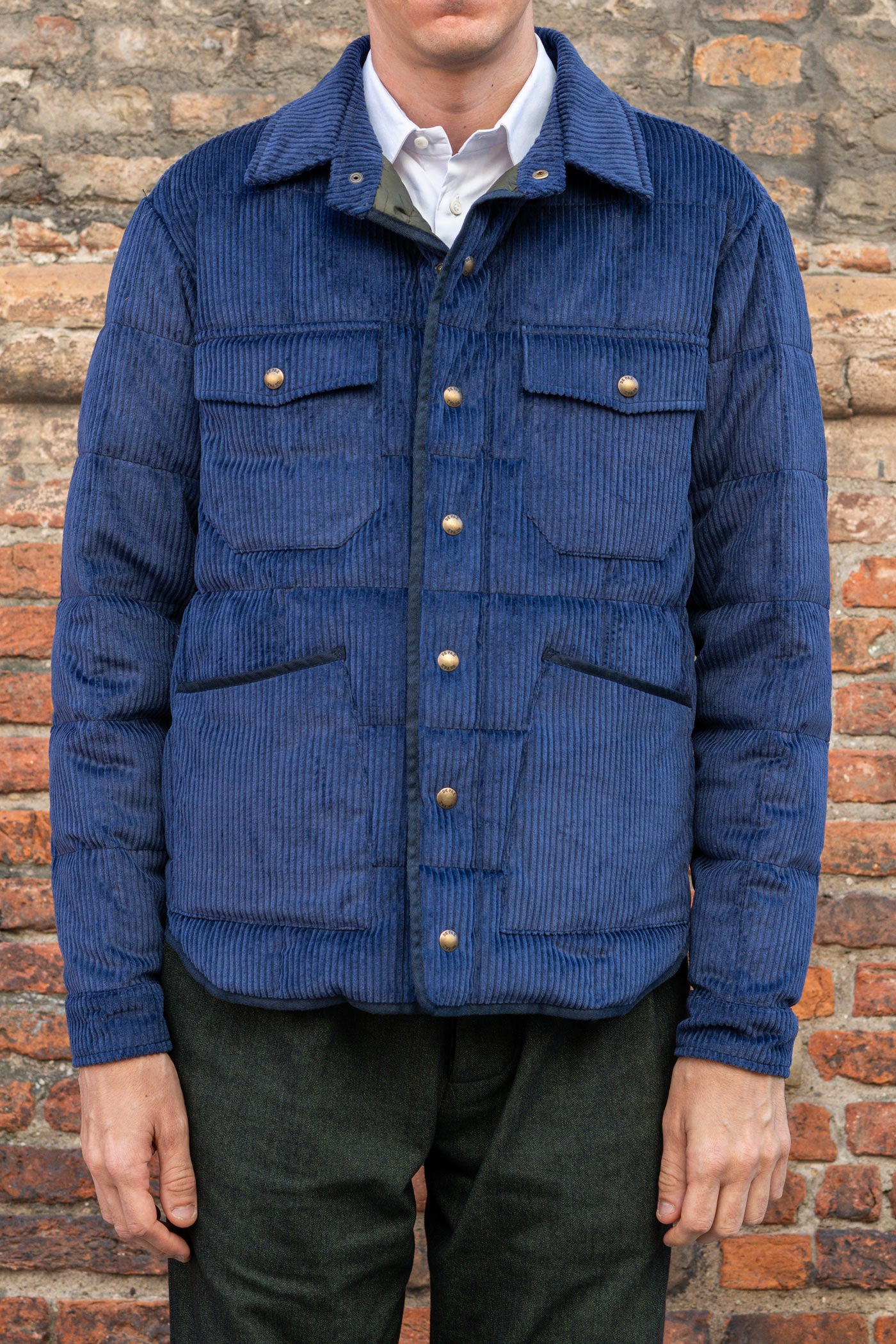 Leon corto