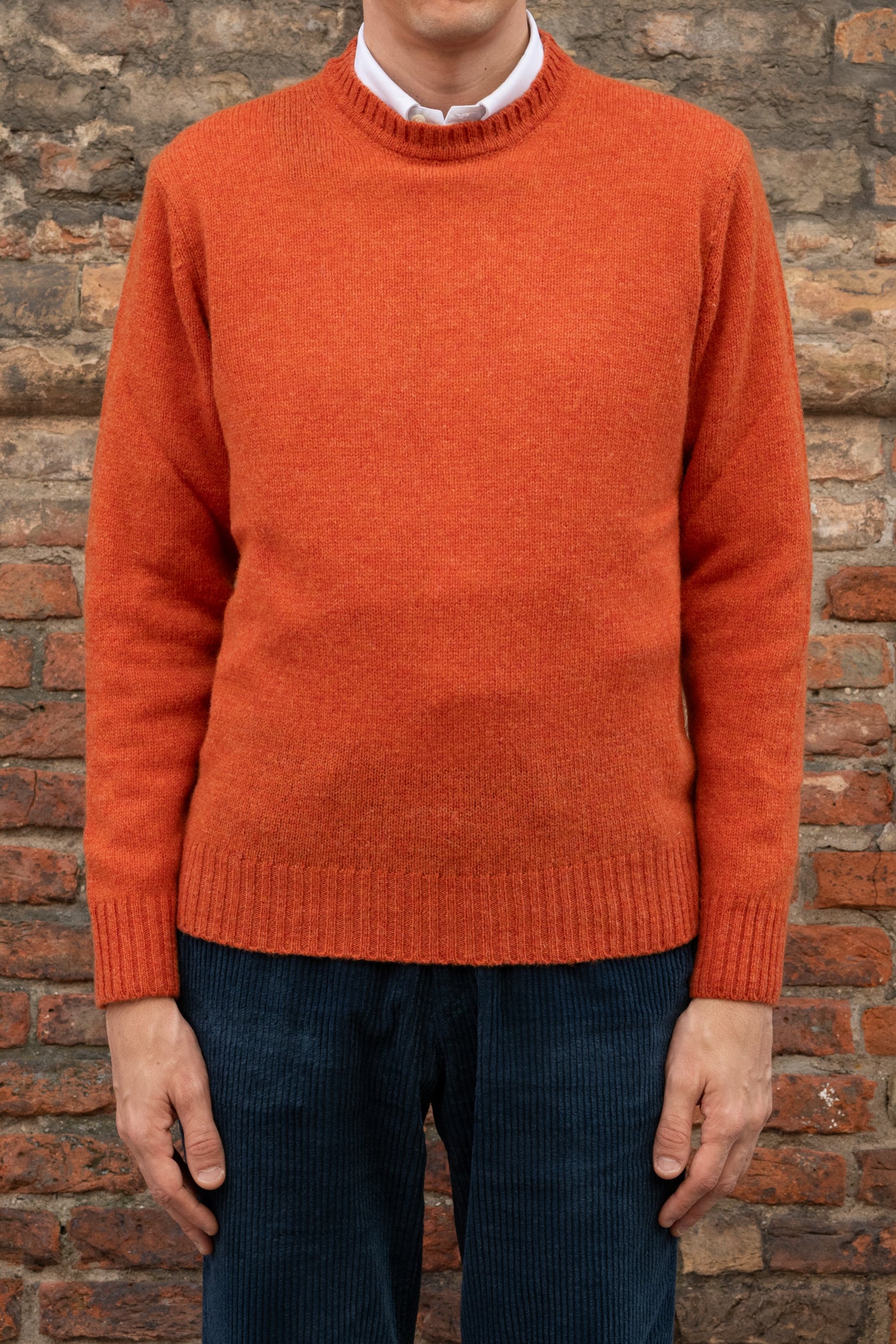 Shetland girocollo